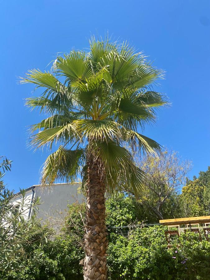 Gite Le Palmier - Perfectly Located Cosy Studio With Private Garden Puissalicon Εξωτερικό φωτογραφία