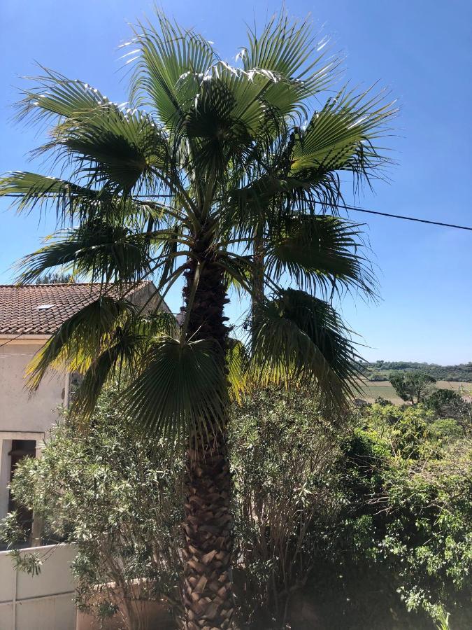 Gite Le Palmier - Perfectly Located Cosy Studio With Private Garden Puissalicon Εξωτερικό φωτογραφία