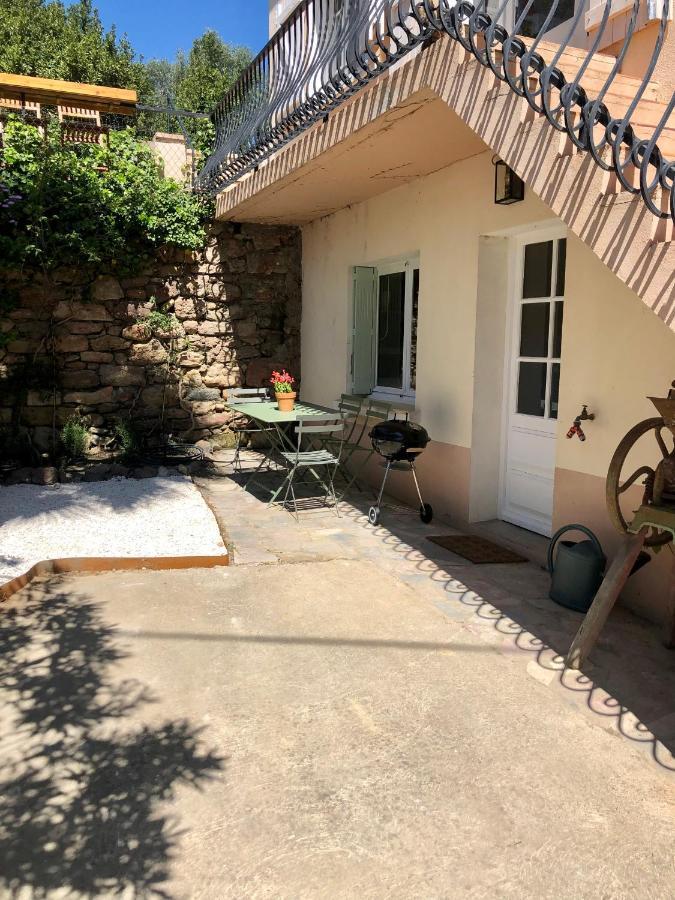 Gite Le Palmier - Perfectly Located Cosy Studio With Private Garden Puissalicon Εξωτερικό φωτογραφία